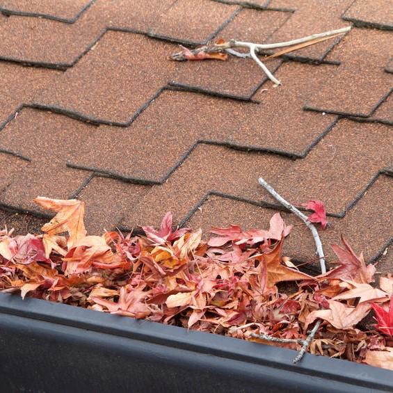 leaves in a gutter system