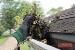 Clogged Gutter